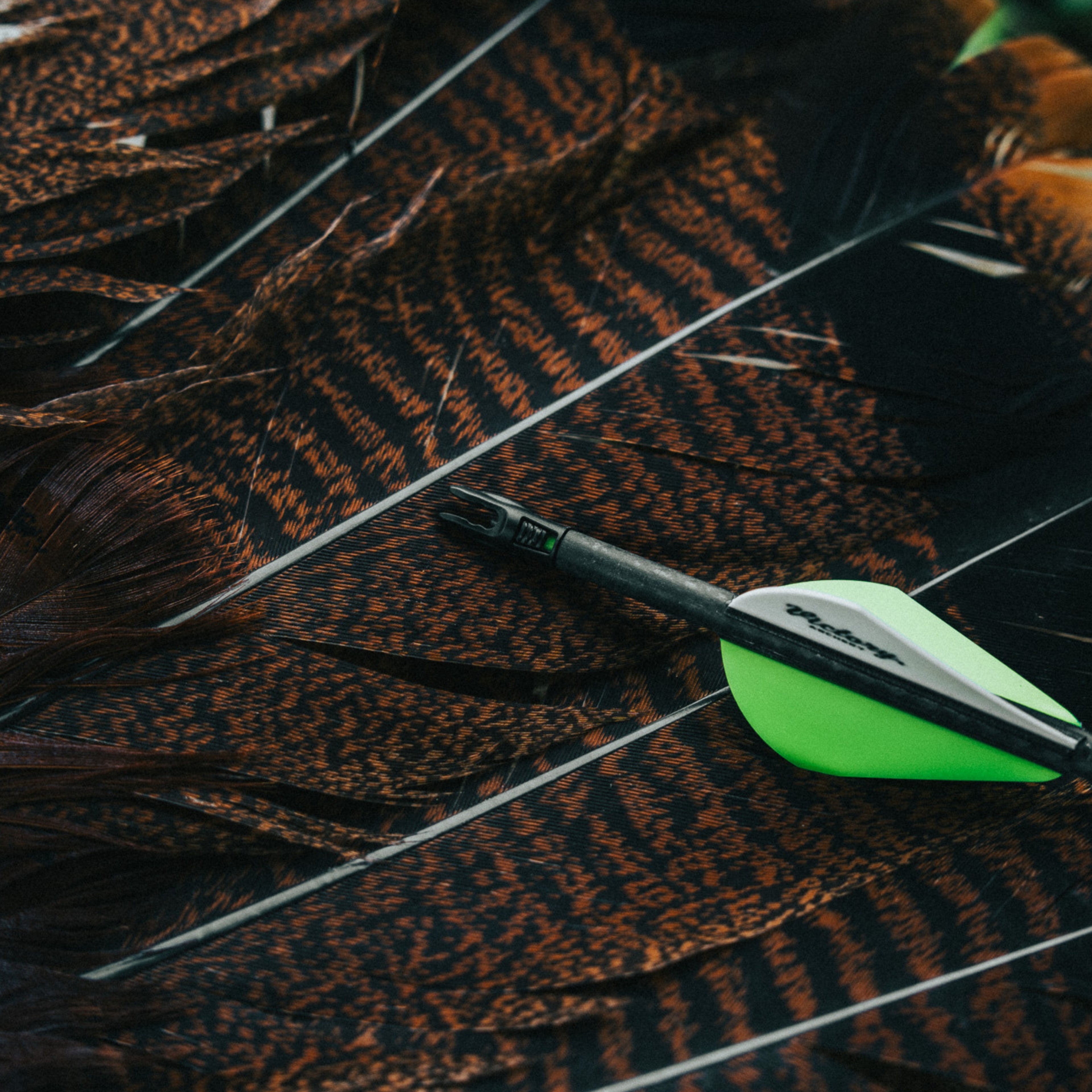 Blindside Stealth Lighted Crossbow Nocks (6-Pack)